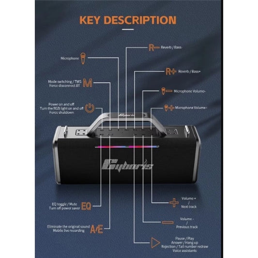 200W Portable Wireless Speaker with 2 Microphones 2
