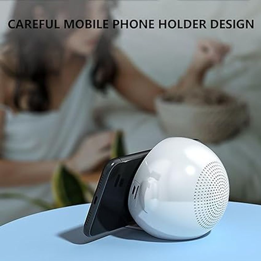 Large Display Alarm Clock Radio with USB Charge