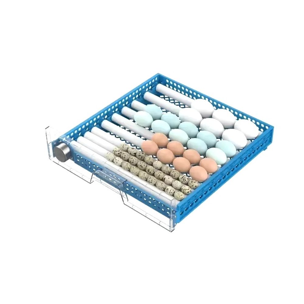 500 Capacity Egg Incubator