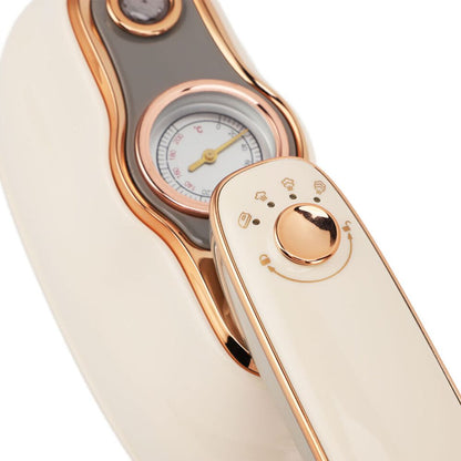 1200W Wet & Dry Dual-Use Ironing Machine 3