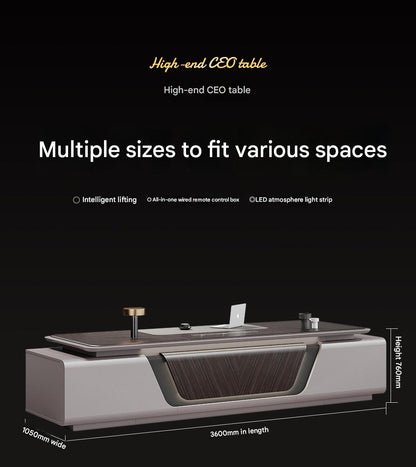 Luxury Executive Office Desk with LED Lighting