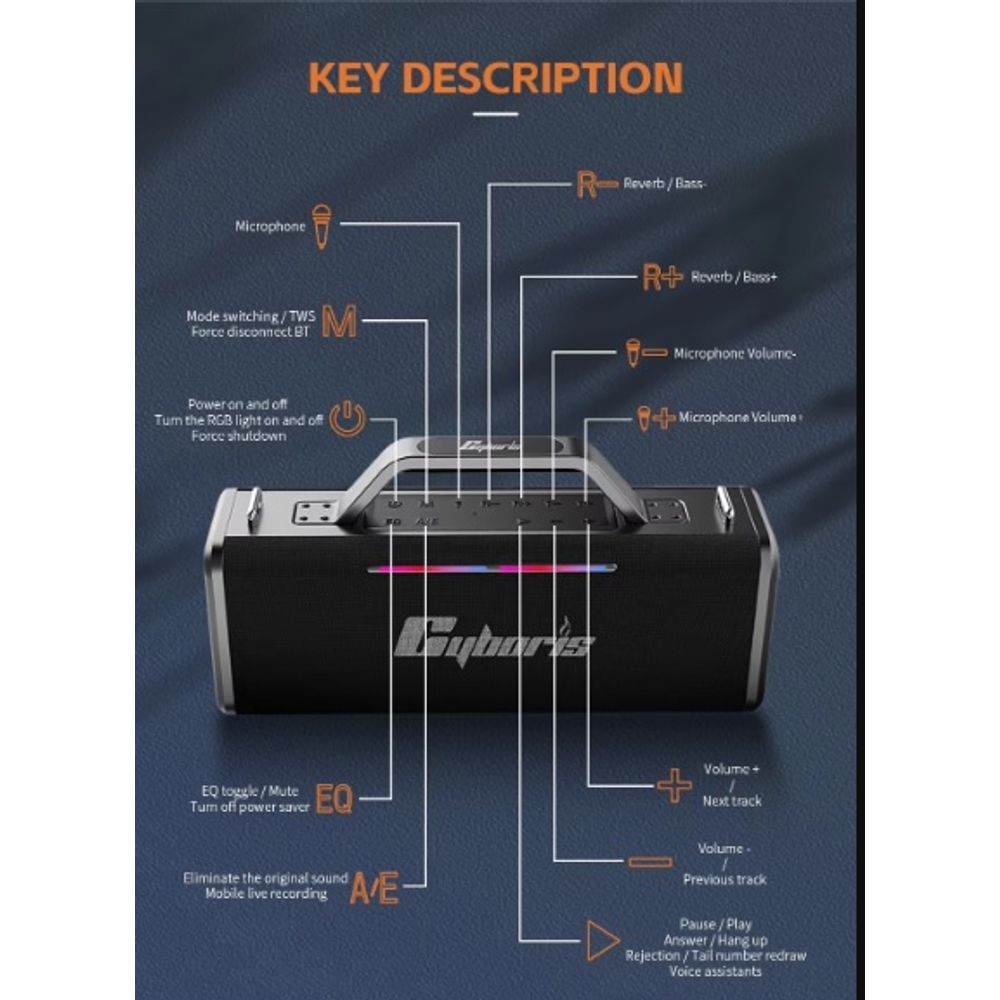 200W Portable Wireless Speaker with 2 Microphones 2