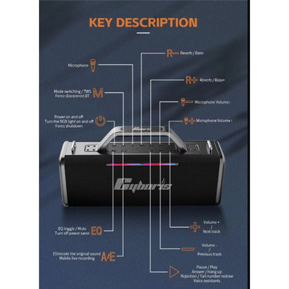 200W Portable Wireless Speaker with 2 Microphones 2