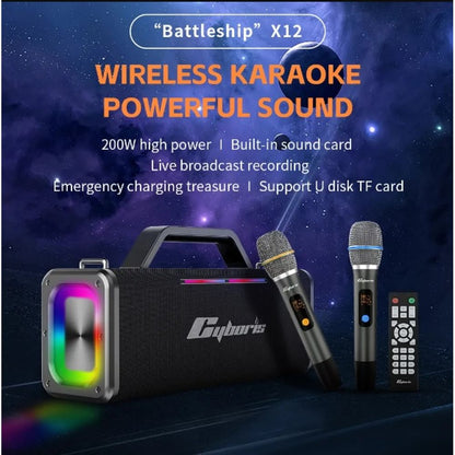 200W Portable Wireless Speaker with 2 Microphones 3