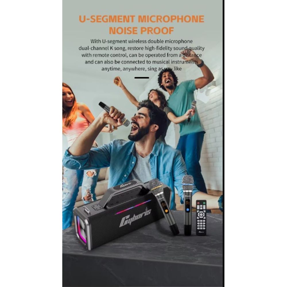 200W Portable Wireless Speaker with 2 Microphones 7