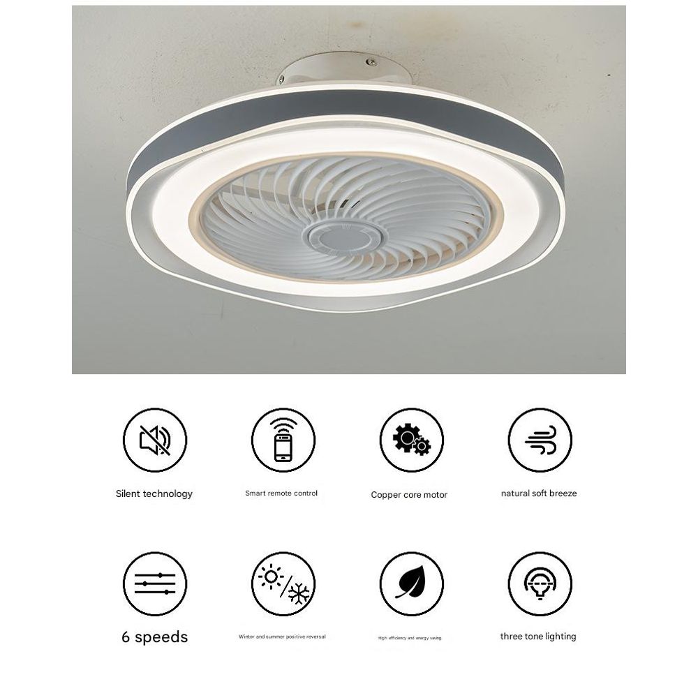 220V Elegant Ceiling Fan Light 3