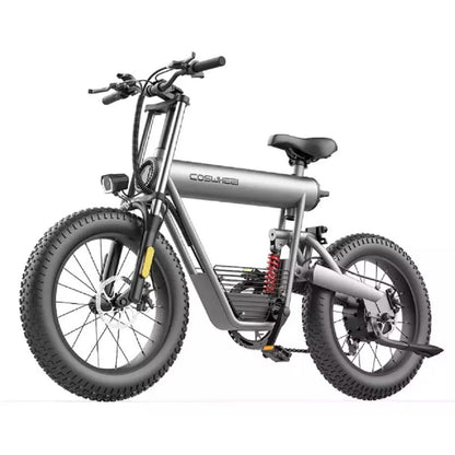 Coswheel 500W 10AH Ebike