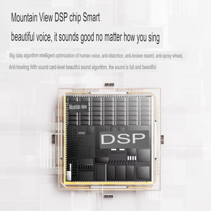 Philips Bluetooth Audio Set Microphone Wind Speaker