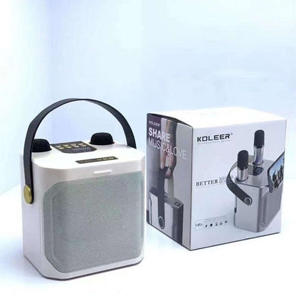 S882 Wireless Karaoke Speaker