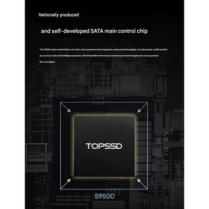 TOPSSD G40 2TB mSATA Industrial Grade SSD Drive