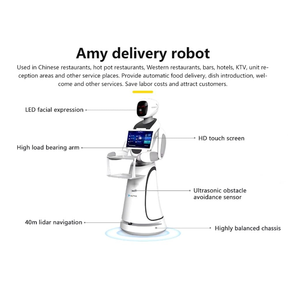 CSJ Humanoid Service Robot