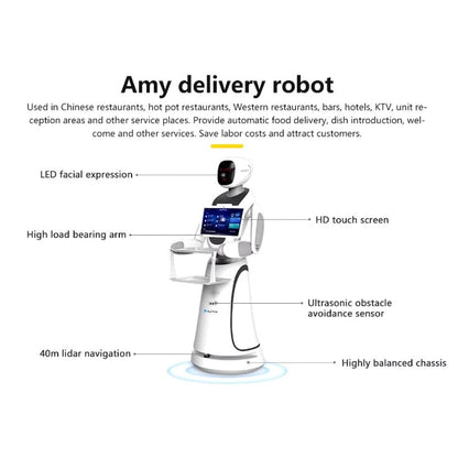 CSJ Humanoid Service Robot