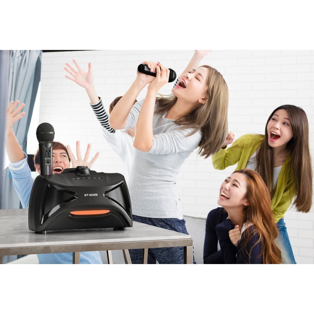 Karaoke TV Microphone Subwoofer Speaker