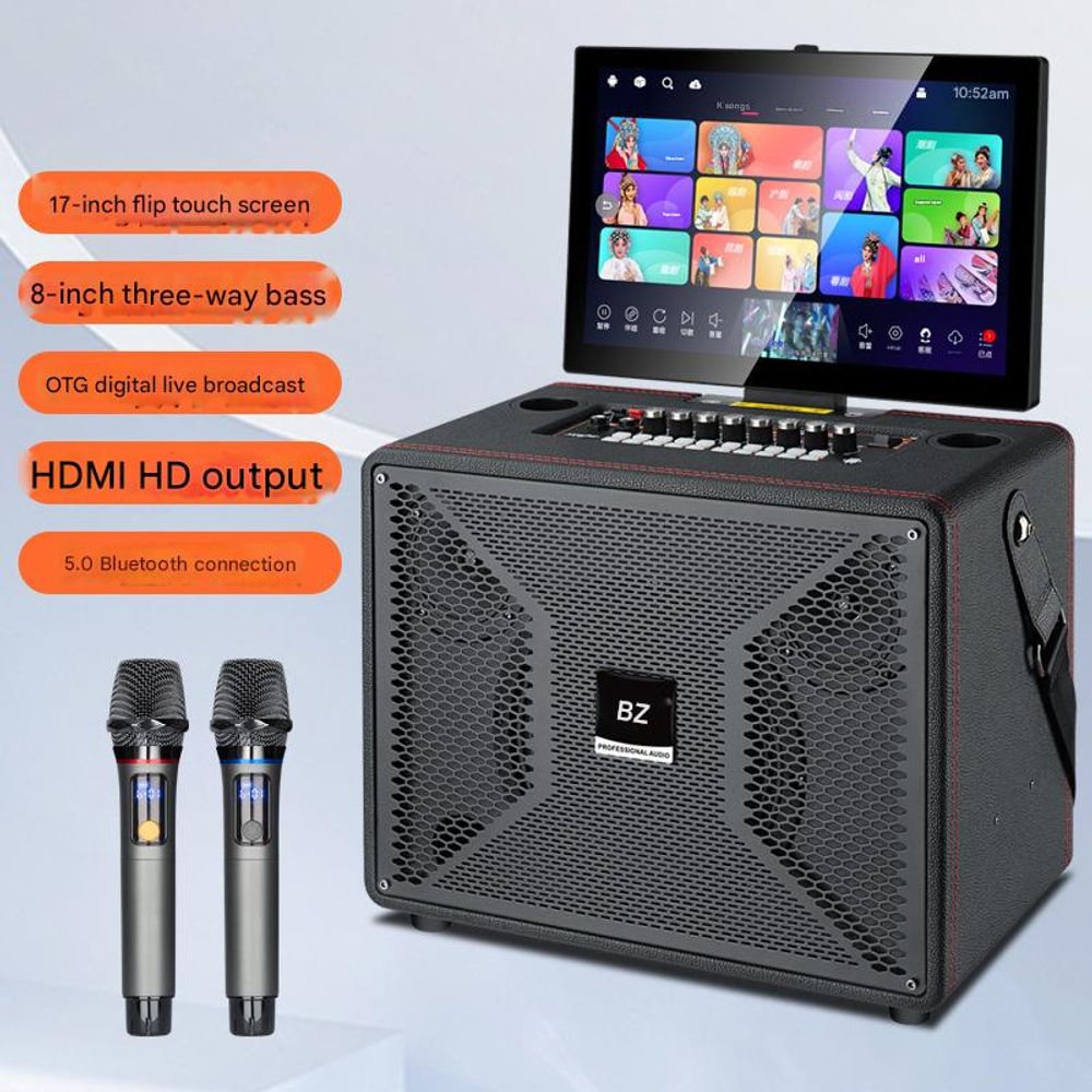 Outdoor Karaoke KTV All-in-One Speaker with Mic