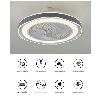 220V Elegant Ceiling Fan Light