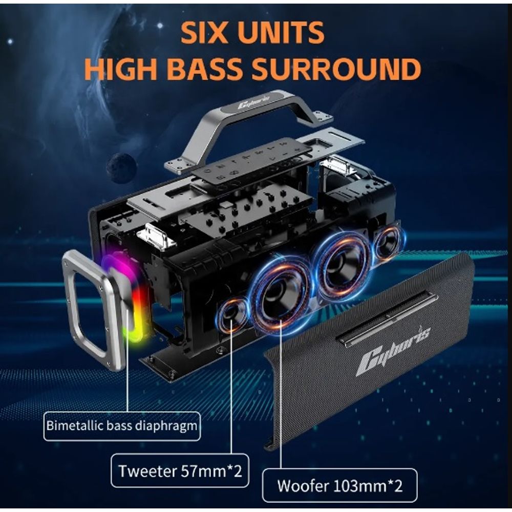 200W Portable Wireless Speaker with 2 Microphones