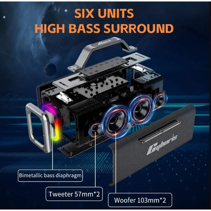 200W Portable Wireless Speaker with 2 Microphones