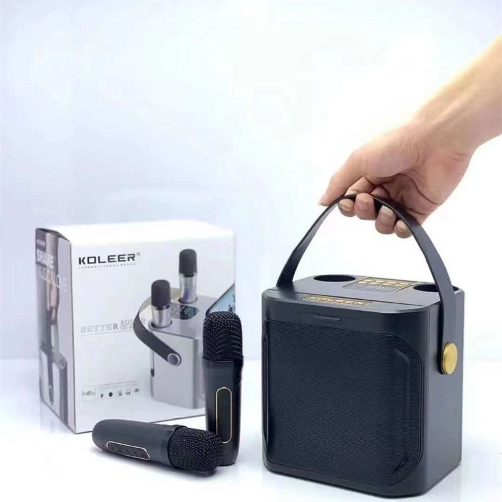 S882 Wireless Karaoke Speaker