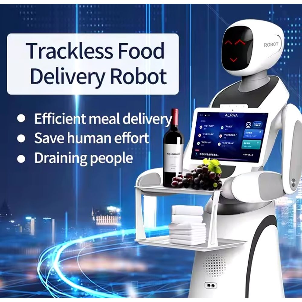 CSJ Humanoid Service Robot