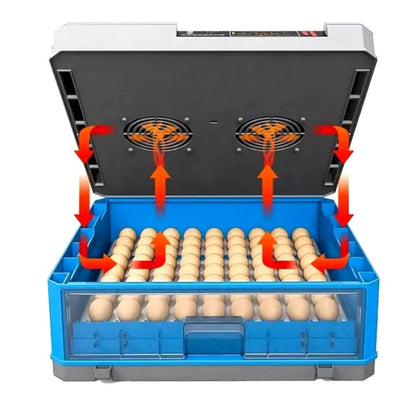 500 Capacity Egg Incubator 4