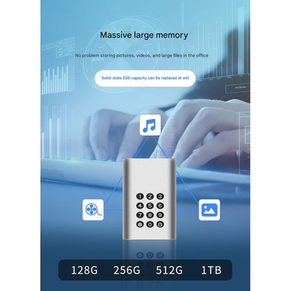 TP8001 512GB SSD with AES256 Encryption Password Protected