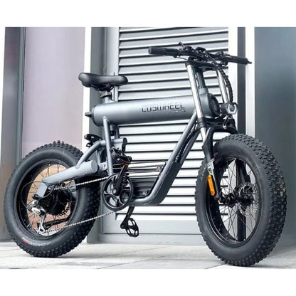 Coswheel 500W 10AH Ebike