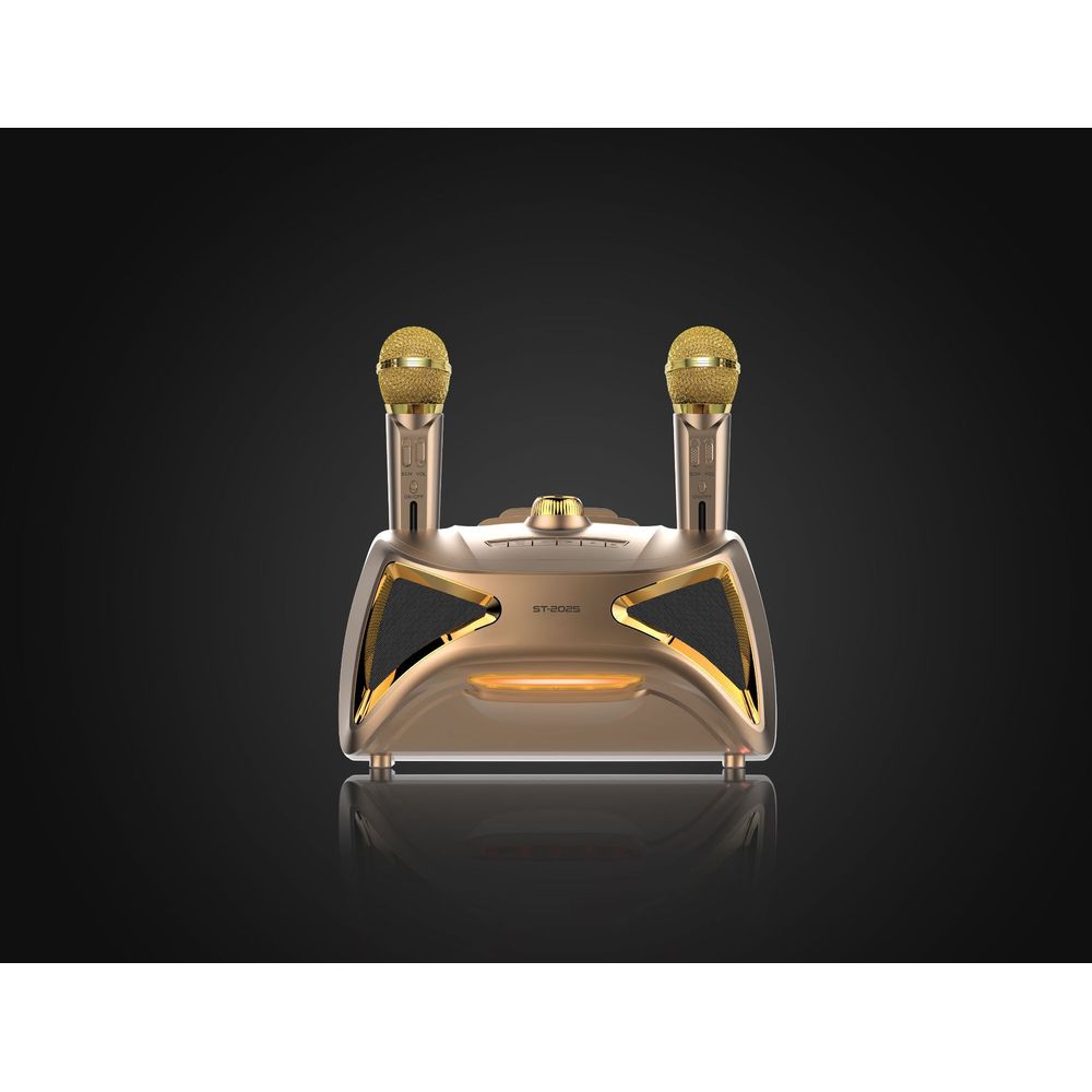 Karaoke TV Microphone Subwoofer Speaker