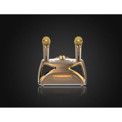 Karaoke TV Microphone Subwoofer Speaker