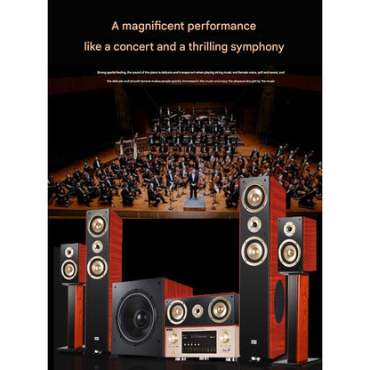 DTS Dolby Surround Karaoke Speaker Home Theater Set With Amplifier