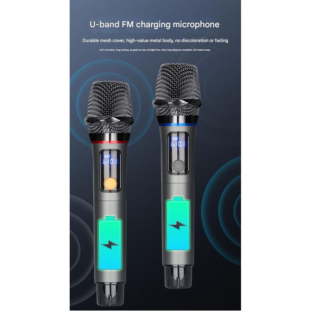 Outdoor Karaoke KTV All-in-One Speaker with Mic