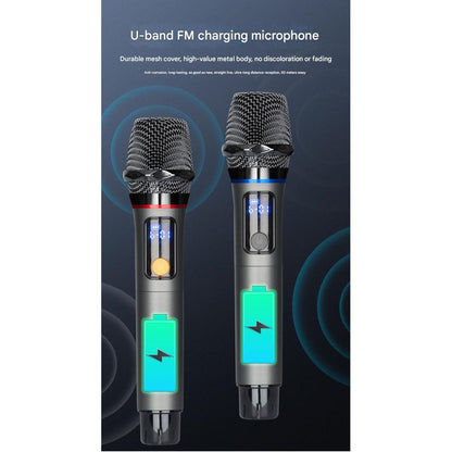 Outdoor Karaoke KTV All-in-One Speaker with Mic