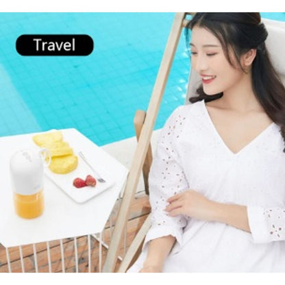 300ml Mini Fruit Mixer