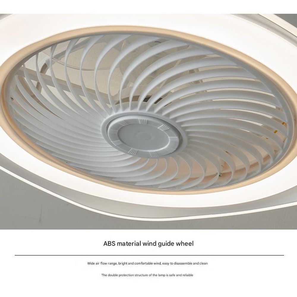220V Elegant Ceiling Fan Light