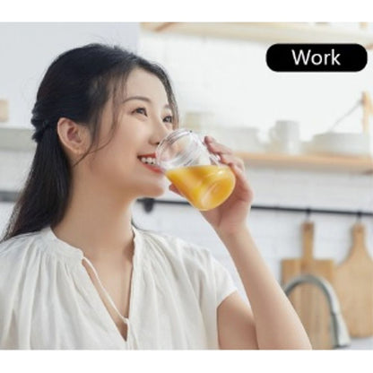 300ml Mini Fruit Mixer