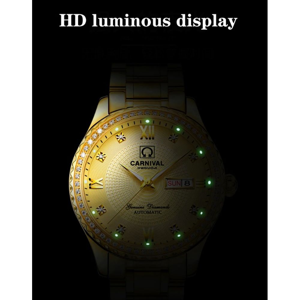 CARNIVAL 8629G Analog Watch for Men's