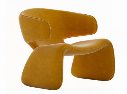 Modern Designer Lounge Chair with Curved Backrest