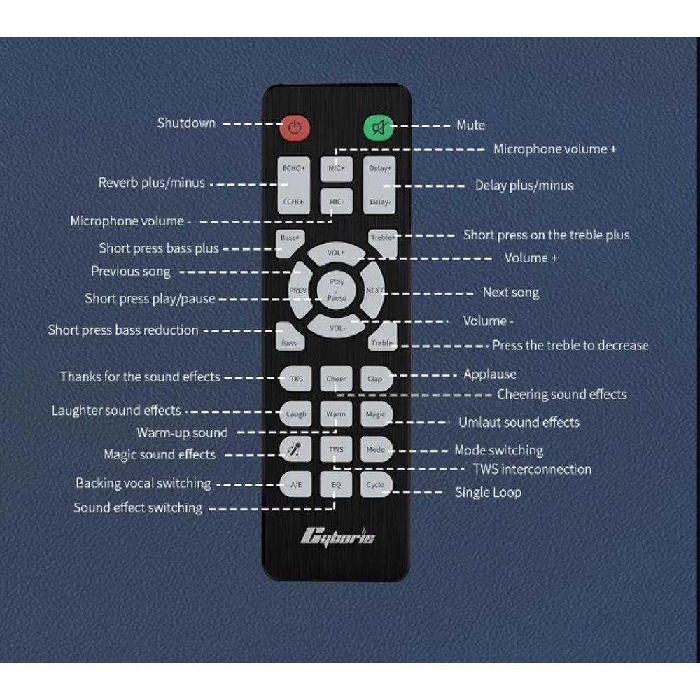 200W Portable Wireless Speaker with 2 Microphones