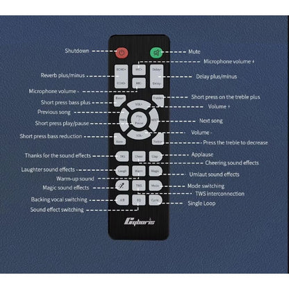 200W Portable Wireless Speaker with 2 Microphones