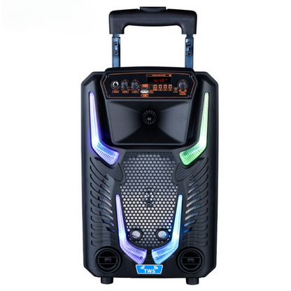 8 Inch Bluetooth Trolley Karaoke Speaker 1