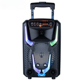 8 Inch Bluetooth Trolley Karaoke Speaker 1