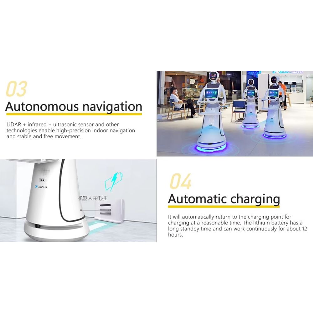 CSJ Humanoid Service Robot