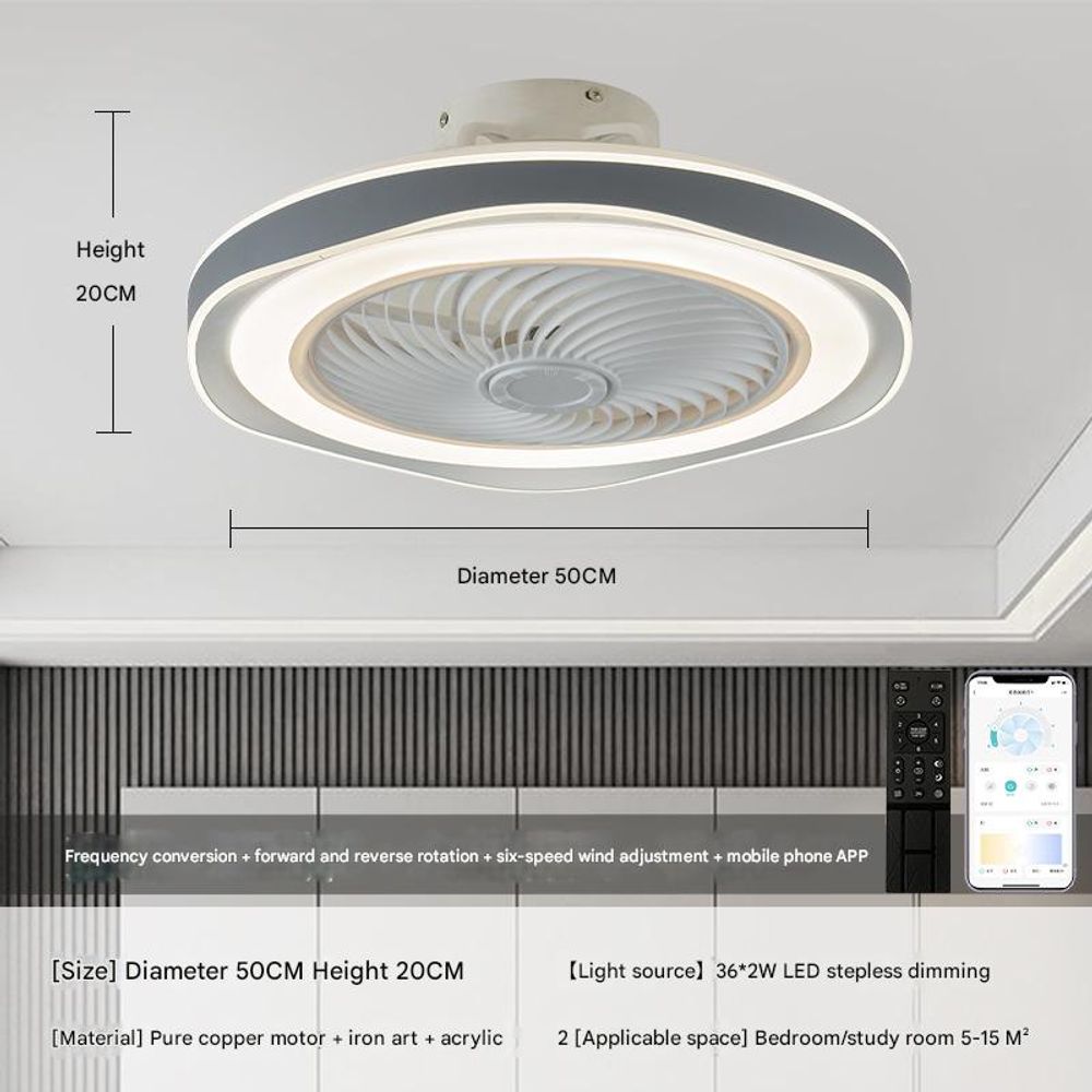 220V Elegant Ceiling Fan Light