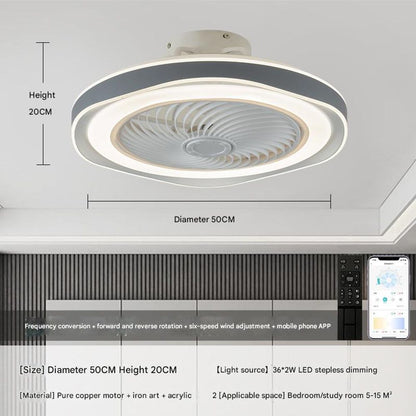220V Elegant Ceiling Fan Light