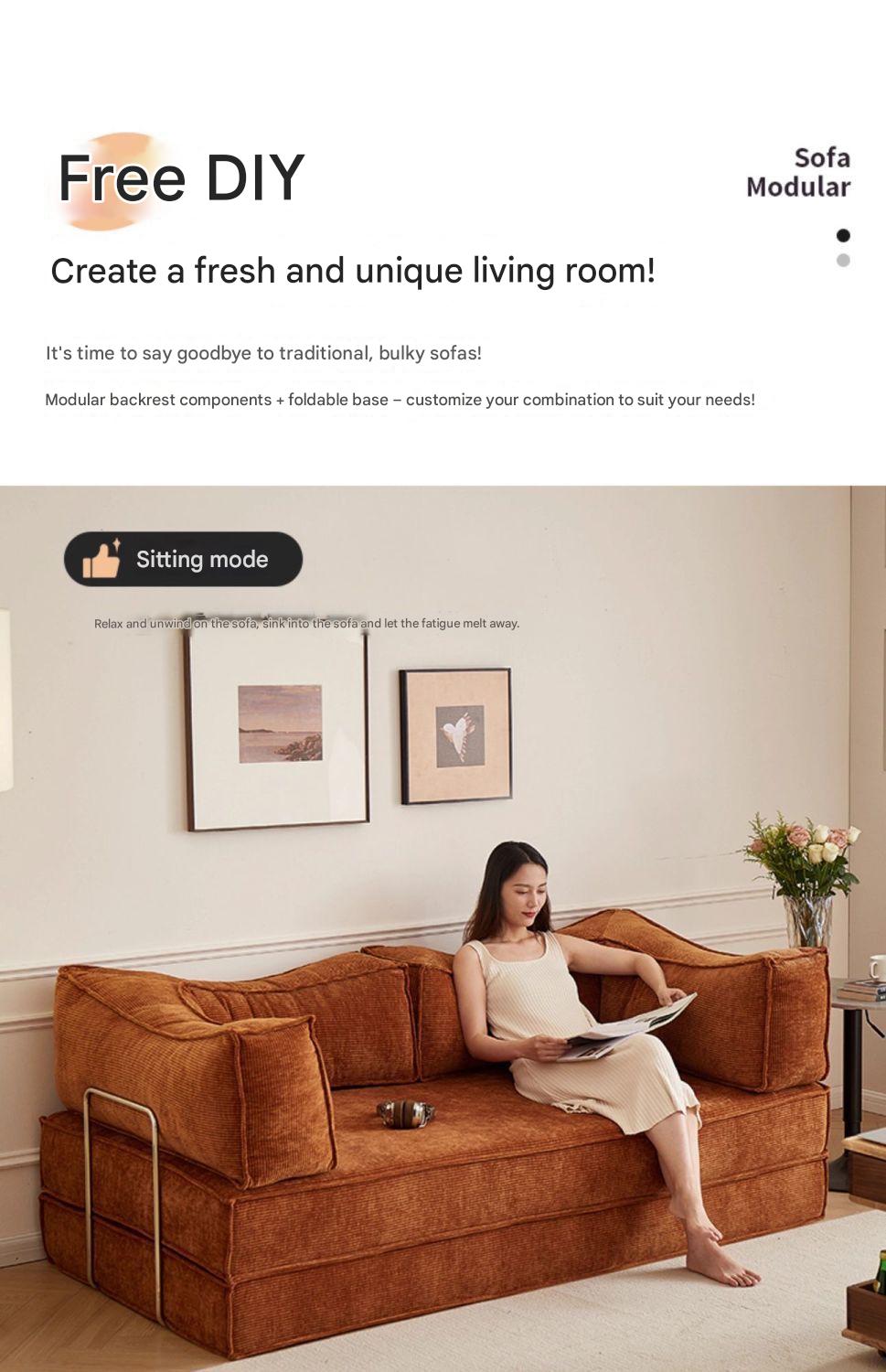 Modern Folding Dual Purpose Sofa Bed