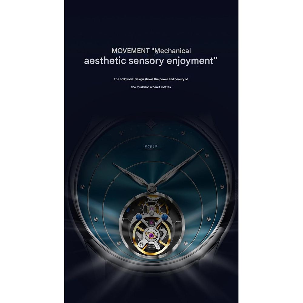 AESOP Luminous Waterproof Mechanical Men's Watch 5