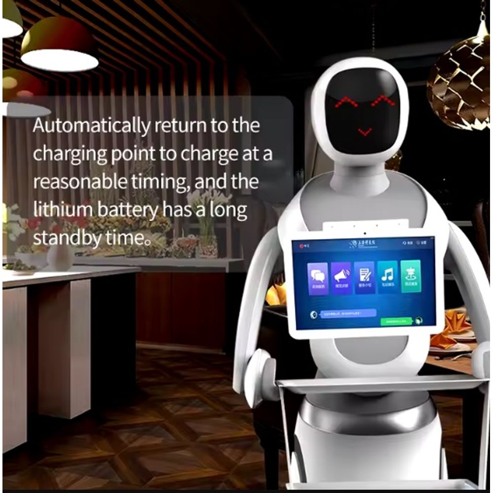 CSJ Humanoid Service Robot 4