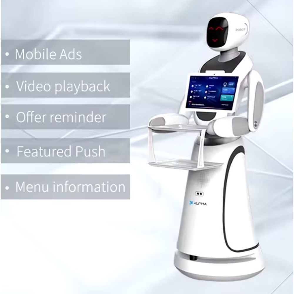 CSJ Humanoid Service Robot  5