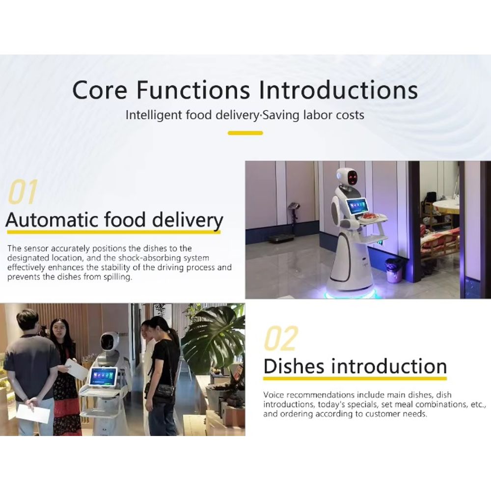 CSJ Humanoid Service Robot  6