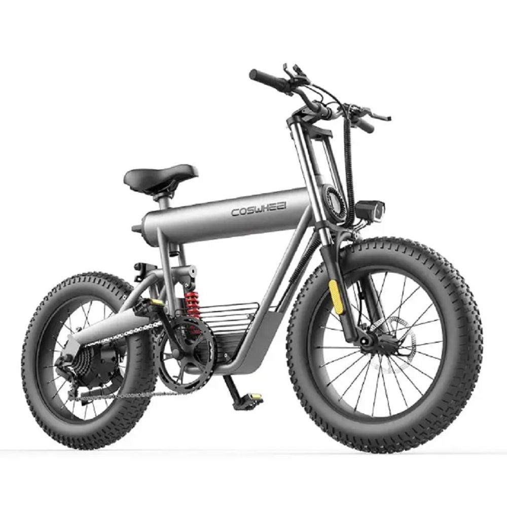 Coswheel 500W 20AH Ebike 3