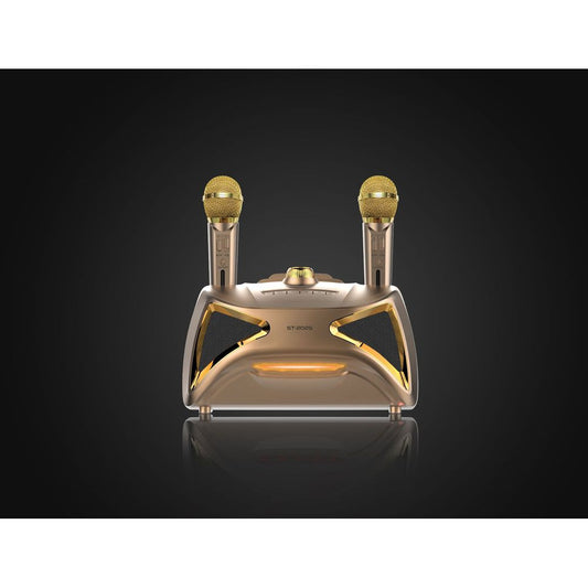 Karaoke TV Microphone Subwoofer Speaker 2